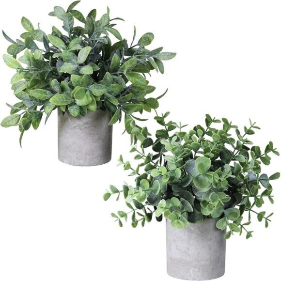 Set of 2 Faux Mini Potted Plants Artificial Eucalyptus Boxwood Plants - Picture 1 of 8
